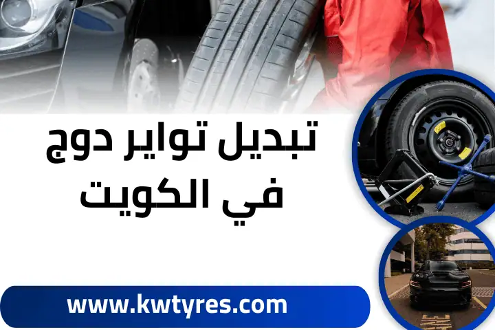 فني تبديل تواير دوج